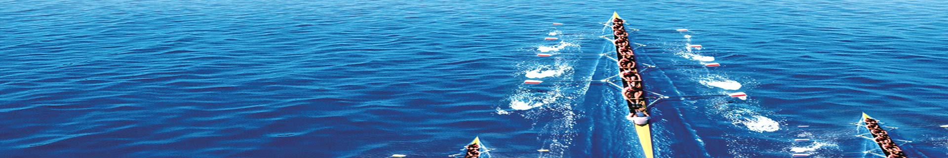 otherbanner1