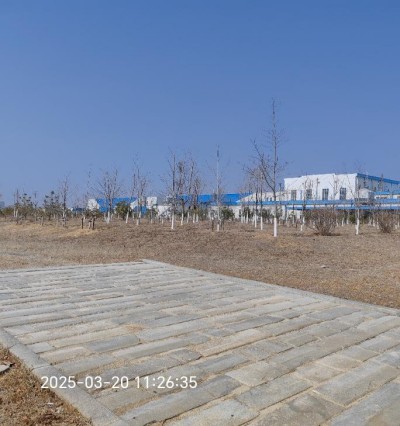 首页 - CQ9电子官方网站